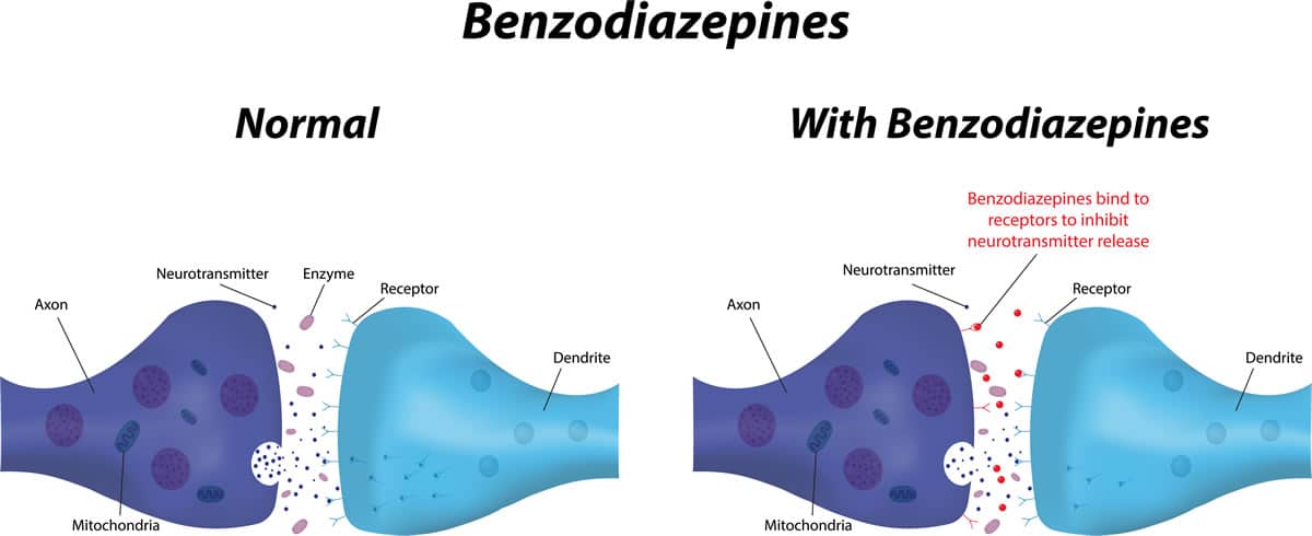 How Benzodiazepines Work?