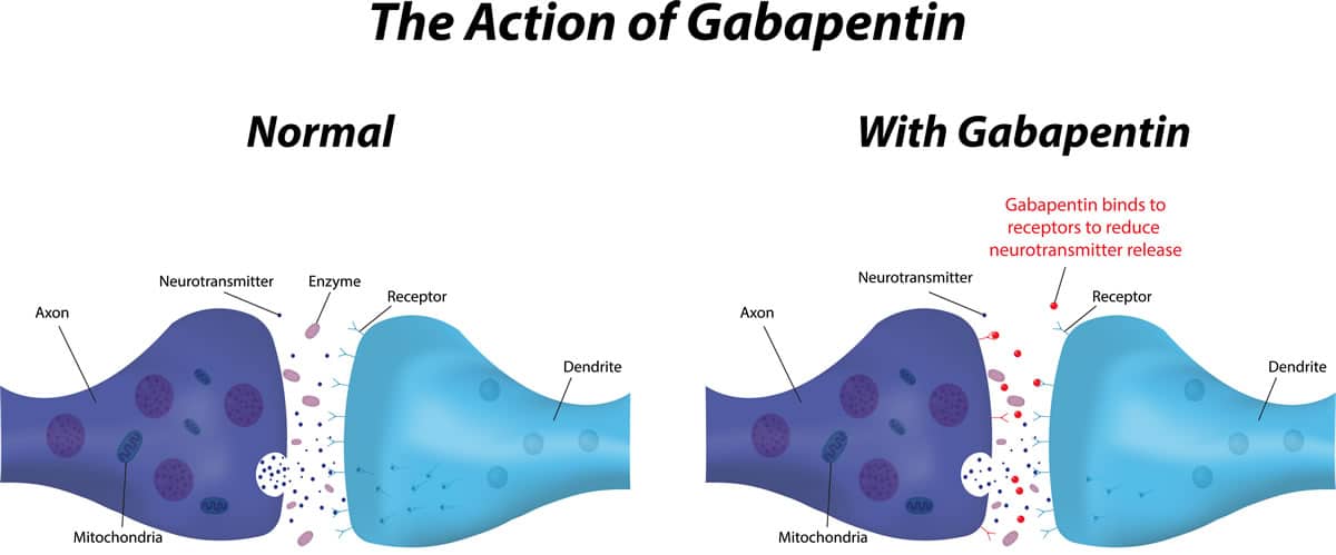 What Are The Signs Someone Is Addicted To Gabapentin